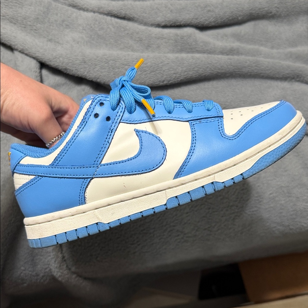 Nike “Coast” Dunks Women's Sneakers